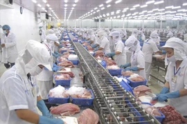 Procesamiento de productos acuáticos para la exportación. (Foto: Vietnam+)