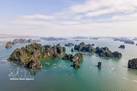 La Bahía de Ha Long es señalada como un ícono turístico mundial, con sus aguas color esmeralda, miles de formaciones kársticas y un ecosistema de gran valor ecológico (Foto: VNA)