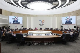 El presidente de Vietnam, Luong Cuong, participa en la Cumbre de Líderes Económicos del APEC (Foto: VNA)