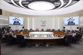 El presidente de Vietnam, Luong Cuong, participa en la Cumbre de Líderes Económicos del APEC (Foto: VNA)