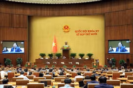 Panorama de la cita (Foto: VNA)