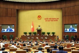 Panorama de la cita (Foto: VNA)