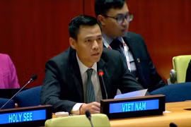 El embajador Dang Hoang Giang, jefe de la misión permanente de Vietnam ante la ONU (Foto: VNA)