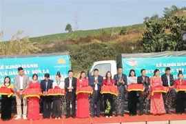 Delegados en la ceremonia que marca el transporte de fresas cultivadas en la provincia de Son La para servir en vuelos de Vietnam Airlines. (Foto: VNA)