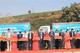 Delegados en la ceremonia que marca el transporte de fresas cultivadas en la provincia de Son La para servir en vuelos de Vietnam Airlines. (Foto: VNA)