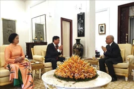 El embajador vietnamita en Phnom Penh, Nguyen Huy Tang, se reúne con el rey camboyano, Norodom Sihamoni (Foto: VNA)