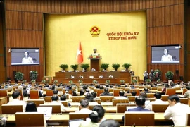 Panorama de la cita (Foto: VNA)