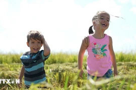 “Semillas de la Felicidad”: Una historia conmovedora sobre la amistad entre Vietnam y Cuba