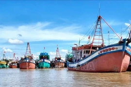En el puerto pesquero de Ganh Hao, en Ca Mau (Foto: VNA)