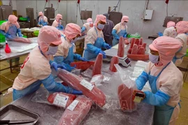 Productos de atún para exportación en una fábrica de la empresa Ba Hai, en la provincia de Phu Yen (Foto: VNA)