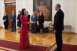La embajadora de Vietnam, Nguyen Thi Minh Nguyet, presenta sus cartas credenciales al presidente búlgaro, Rumen Radev. (Foto: VNA)