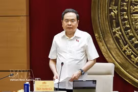 El presidente de la Asamblea Nacional de Vietnam, Tran Thanh Man, interviene en la cita (Foto: VNA)
