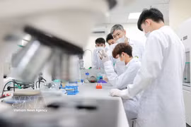 Los profesores de la Academia Nacional de Agricultura de Vietnam guían a los estudiantes en las técnicas analíticas de laboratorio. (Foto: VNA)