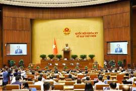 Panorama de la cita (Foto: VNA)