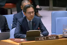 El embajador Do Hung Viet, jefe de la misión permanente de Vietnam ante la ONU, interviene en la cita (Foto: VNA)