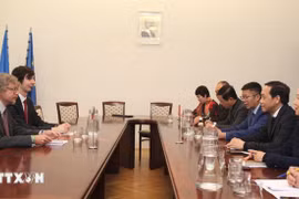 En la reunión entre la delegación de la Comisión de Asuntos Internos del Comité Central del Partido Comunista de Vietnam y representantes del Ministerio de Justicia de República Checa (Foto: VNA)