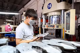 Producción de materiales para el calzado en una empresa con inversión extranjera (Foto: VNA)
