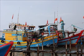 Barcos pesqueros en Ciudad Ho Chi Minh (Foto: VNA)