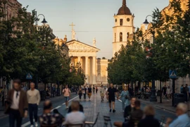 Muchos vietnamitas residentes en Lituania abren sus negocios en centros comerciales de la capital, Vilna. (Foto: https://nhandan.vn/)