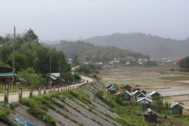 En la comuna de Mang But, provincia central de Quang Ngai (Foto: VNA)