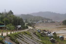 En la comuna de Mang But, provincia central de Quang Ngai (Foto: VNA)
