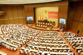 Delegados asisten a una conferencia para difundir e implementar la Resolución del Buró Político sobre la ejecución de las orientaciones de política exterior establecidas por el XIV Congreso Nacional del Partido. (Foto: VNA)