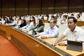 Los diputados votan para adoptar la resolución (Foto: VNA)
