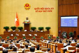 Panorama de la cita (Foto: VNA)