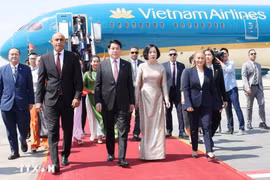 Presidente de Vietnam inicia actividades en Egipto