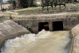Gracias a la financiación de la AOD y los préstamos de inversión preferenciales, muchos proyectos de irrigación han impulsado eficazmente la producción agrícola en el sur de la provincia de Khanh Hoa. (Foto: VNA)