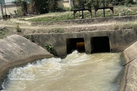 Gracias a la financiación de la AOD y los préstamos de inversión preferenciales, muchos proyectos de irrigación han impulsado eficazmente la producción agrícola en el sur de la provincia de Khanh Hoa. (Foto: VNA)