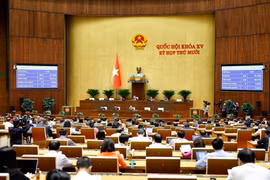 Panorama de la cita (Foto: VNA)