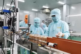 Envasado de semillas de anacardo para exportación en la empresa LAFOOCO (Foto: VNA)