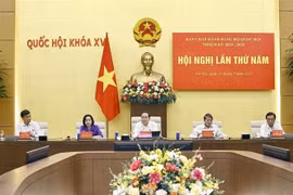 Panorama de la reunión (Foto: VNA)
