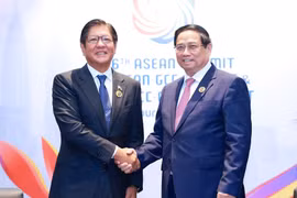 El primer ministro de Vietnam, Pham Minh Chinh (derecha), se reúne con el presidente filipino, Ferdinand Romualdez Marcos Jr. (Foto: VNA)