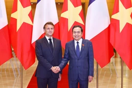 El presidente de la Asamblea Nacional de Vietnam, Tran Thanh Man (derecha), saluda al presidente de Francia, Emmanuel Macron (Foto: VNA)