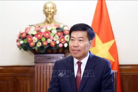 El viceministro vietnamita de Relaciones Exteriores Nguyen Manh Cuong (Foto: VNA)