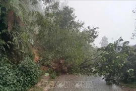 Consecuencias de un deslizamiento de tierra en la provincia norteña de Lao Cai (Foto: VNA)