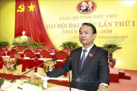 El secretario del Comité partidista de la provincia de Ninh Binh, Dang Xuan Phong, habla en el acto inaugural (Foto: VNA)