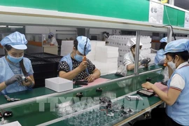 Vietnam es un destino atractivo para inversores extranjeros (Foto: VNA)