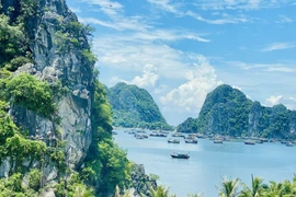 Un destino de turismo ecológico en la provincia de Quang Ninh (Foto: VNA)