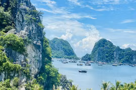 Un destino de turismo ecológico en la provincia de Quang Ninh (Foto: VNA)