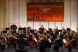 En el concierto (Foto: VNA)