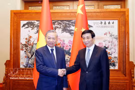 El secretario general del Comité Central del PCV y presidente del país, To Lam (izquierda), se reúne con el titular del Comité Nacional de la CCPPCh, Wang Huning. (Foto: VNA)
