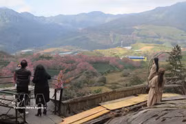 Los turistas contemplan la belleza de O Quy Ho, Sa Pa. (Foto: VNA)