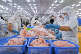 Procesamiento de pescado Tra para exportación en la empresa Caseamex, en el parque industrial Tra Noc (Can Tho) (Foto: VNA)