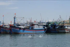 Un puerto pesquero en el barrio Quy Nhon, provincia de Gia Lai (Foto: VNA)