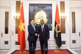 El presidente de Vietnam, Luong Cuong, (izquierda) y su homólogo angoleño, João Manuel Gonçalves Lourenço (Foto: VNA)