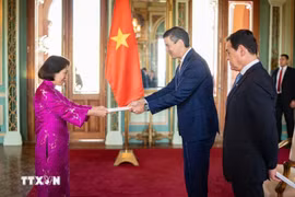 La embajadora de Vietnam en Argentina concurrente en Paraguay, Ngo Minh Nguyet, presenta las cartas credenciales al presidente paraguayo, Santiago Peña Palacios. (Foto: VNA)