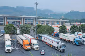 La plataforma digital para pasos fronterizos, que inició sus operaciones piloto en agosto de 2023, emplea tecnología IoT y cámaras con inteligencia artificial para la gestión de vehículos. (Fuente: VNA)